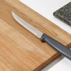 Нож Plenus для мяса, длина лезвия 12,5 см - фото 4583352