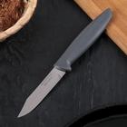 Нож кухонный для овощей Plenus, лезвие 7,5 см, сталь AISI 420 - фото 318030211