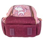 Рюкзак школьный эргономичная спинка для девочки Proff 38*27*16 Glamour, розовый WG14-ERB4 - Фото 4
