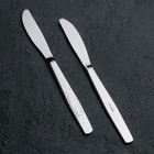 Нож детский столовый «Антошка», h=17,5 см, цвет серебряный - Фото 1