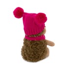 Мягкая игрушка «Ежинка Колючка» в шапке с двумя помпонами, 15 см - Фото 3