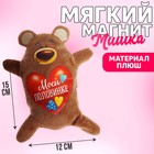 Мягкая игрушка-магнит «Моей половинке», медведь - фото 318030971