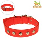 Ошейник клепаный, 48.5×3 см, ОШ 31-40 см, полиэстер, красный - Фото 1