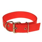 Ошейник клепаный, 48.5×3 см, ОШ 31-40 см, полиэстер, красный - Фото 2
