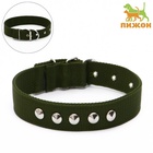 Ошейник клепаный, 48,5 х 3 см, ОШ 31-40 см, полиэстер, тёмно-зелёный - Фото 2