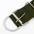 Ошейник клепаный, 48,5 х 3 см, ОШ 31-40 см, полиэстер, тёмно-зелёный - Фото 5