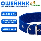 Ошейник клепаный, 48,5 х 3 см, ОШ 31-40 см, полиэстер, синий - Фото 1