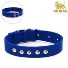 Ошейник клепаный, 48,5 х 3 см, ОШ 31-40 см, полиэстер, синий - Фото 2