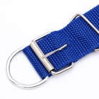 Ошейник клепаный, 48,5 х 3 см, ОШ 31-40 см, полиэстер, синий - Фото 5