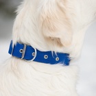 Ошейник клепаный, 48,5 х 3 см, ОШ 31-40 см, полиэстер, синий - Фото 8