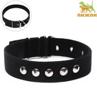 Ошейник клепаный, 48.5×3 см, ОШ 31-40 см, полиэстер, чёрный - Фото 2