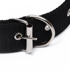 Ошейник клепаный, 48.5×3 см, ОШ 31-40 см, полиэстер, чёрный - Фото 4