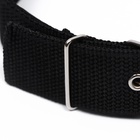 Ошейник клепаный, 48.5×3 см, ОШ 31-40 см, полиэстер, чёрный - Фото 5