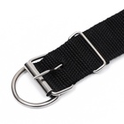 Ошейник клепаный, 48.5×3 см, ОШ 31-40 см, полиэстер, чёрный - Фото 6