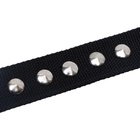 Ошейник клепаный, 48.5×3 см, ОШ 31-40 см, полиэстер, чёрный - Фото 8