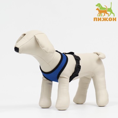 Шлейка мягкая из неопрена, размер S, ОШ 24 см, ОГ 24-34 см, синяя