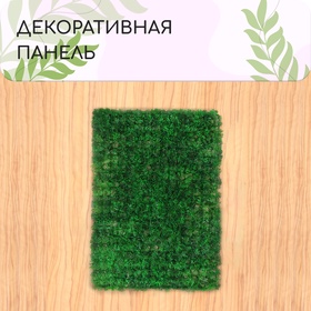 Декоративная панель, 60 × 40 см, «Аспарагус», Greengo 2635870