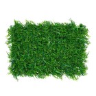 Декоративная панель, 60 × 40 см, «Сочная трава», Greengo - фото 4534732