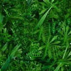 Декоративная панель, 60 × 40 см, «Сочная трава», Greengo - Фото 14