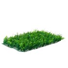 Декоративная панель, 60 × 40 см, «Сочная трава», Greengo - Фото 15
