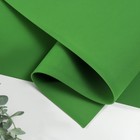 Фоамиран иранский 2 мм (тёмно-зелёный/179)  60х70 см - фото 318031334
