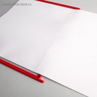 Информационный стенд «Информация» 15 карманов (5 плоских А4, 1 перекидная система на 10 карманов А4), цвет красный 2908464