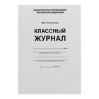 Классный журнал для 1-4 классов А4, 96 листов, твёрдая обложка, белый блок - Фото 14