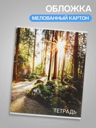 Тетрадь 96 листов, в клетку, Calligrata «Природа», серые листы, МИКС - Фото 3