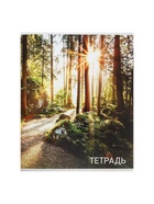 Тетрадь 96 листов, в клетку, Calligrata «Природа», серые листы, МИКС - Фото 8