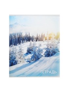 Тетрадь 96 листов, в клетку, Calligrata «Природа», серые листы, МИКС - Фото 9