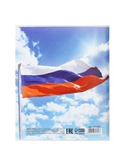 Тетрадь 96 листов в клетку, Calligrata «Россия», серые листы, МИКС 2871357 - фото 16929945