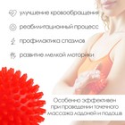 Массажёр «Ёжик», d=9 см, 97 г - Фото 2