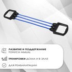 Эспандер грудной ONLYTOP, 25 кг, цвета МИКС - Фото 2