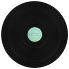 Диск здоровья ONLYTOP, с магнитными вставками, d=25 см, цвета МИКС - Фото 5