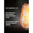 Солевая лампа Ergopower ER 502, 220 В, 15 Вт, 3-5 кг - фото 8358672