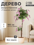 Глициния