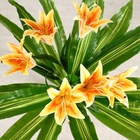 Куст искусственный «С цветком», h=90 см, МИКС 416639