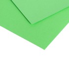 Картон цветной Sadipal Sirio двусторонний: текстурный/гладкий, 210 х 297 мм, Sadipal Fabriano Elle Erre, 220 г/м2, зелёный - Фото 3
