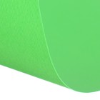 Картон цветной Sadipal Sirio двусторонний: текстурный/гладкий, 210 х 297 мм, Sadipal Fabriano Elle Erre, 220 г/м2, зелёный - Фото 2