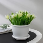 Горшок для цветов с поддоном Альтернатива «Афина», 500 мл, пластиковый, белый - Фото 1