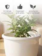 Горшок для цветов с поддоном Альтернатива «Афина», 500 мл, пластиковый, белый - Фото 3