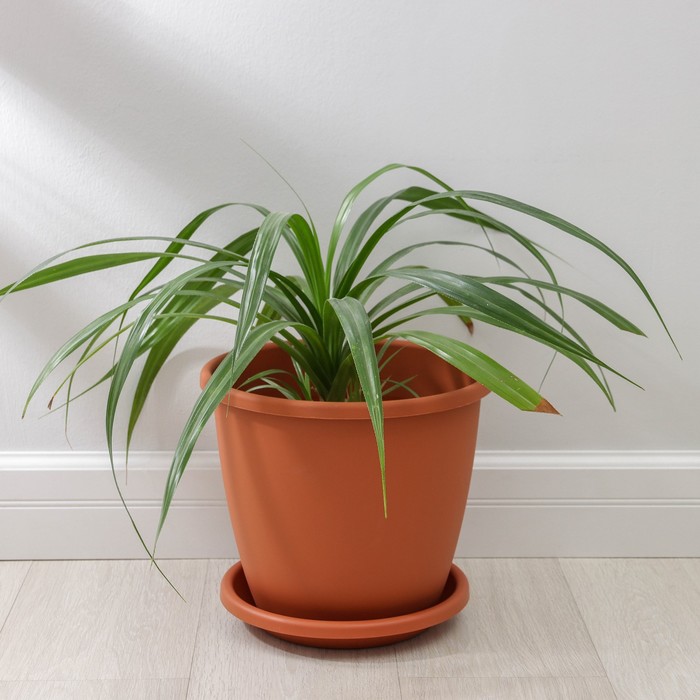 Горшок для цветов с поддоном Альтернатива «Афина», 11 л, пластиковый, коричневый - Фото 1