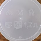 Набор для напитков Альтернатива «Турист», 5 предметов: кувшин 1 л, 4 кружки 300 мл, пластик, МИКС - Фото 8