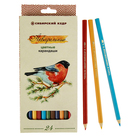 Карандаши акварельные 24 цвета «Сибирский Кедр. Птицы Сибири», шестигранные - Фото 1