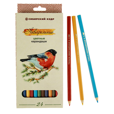 Карандаши акварельные 24 цвета «Сибирский Кедр. Птицы Сибири», шестигранные