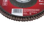 Круг лепестковый торцевой ЛОМ, 115×22 мм, Р40 - Фото 2