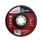 Круг лепестковый торцевой ЛОМ, 115×22 мм, Р60 - Фото 1