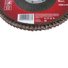 Круг лепестковый торцевой ЛОМ, 115×22 мм, Р60 - Фото 2