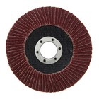 Круг лепестковый торцевой ЛОМ, 115×22 мм, Р80 - Фото 2