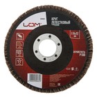 Круг лепестковый торцевой ЛОМ, 115×22 мм, Р100 - Фото 1